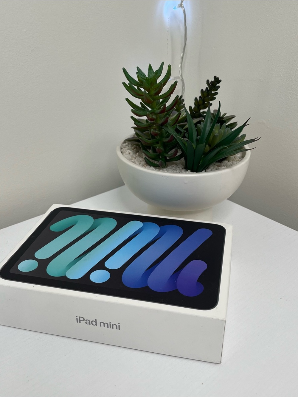Apple iPad Mini Box